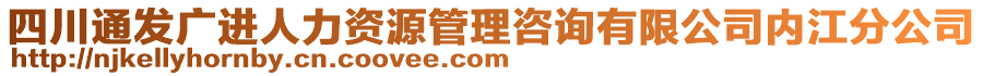 四川通發(fā)廣進(jìn)人力資源管理咨詢有限公司內(nèi)江分公司