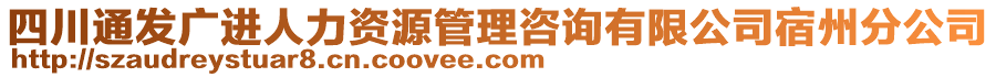 四川通發(fā)廣進(jìn)人力資源管理咨詢有限公司宿州分公司