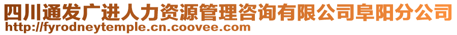 四川通發(fā)廣進(jìn)人力資源管理咨詢有限公司阜陽分公司