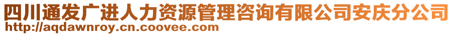 四川通發(fā)廣進(jìn)人力資源管理咨詢有限公司安慶分公司