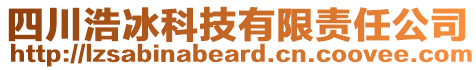 四川浩冰科技有限責(zé)任公司