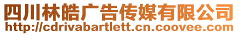 四川林皓廣告傳媒有限公司
