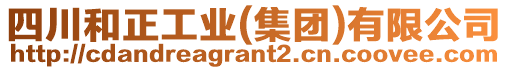 四川和正工業(yè)(集團(tuán))有限公司