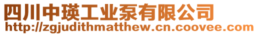 四川中瑛工業泵有限公司