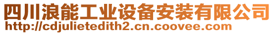 四川浪能工業設備安裝有限公司