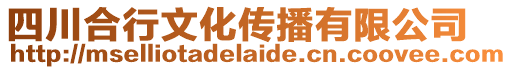 四川合行文化傳播有限公司