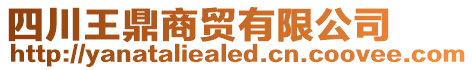 四川王鼎商貿(mào)有限公司