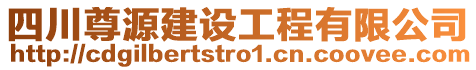 四川尊源建設(shè)工程有限公司