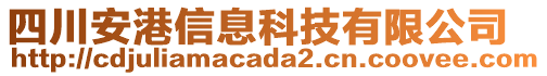 四川安港信息科技有限公司