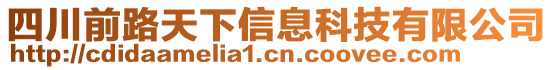 四川前路天下信息科技有限公司