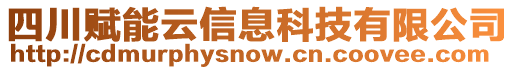 四川賦能云信息科技有限公司