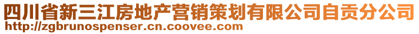 四川省新三江房地產(chǎn)營銷策劃有限公司自貢分公司