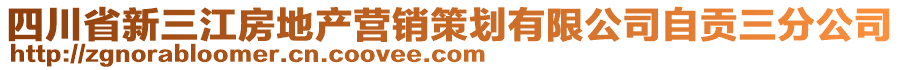 四川省新三江房地產(chǎn)營銷策劃有限公司自貢三分公司