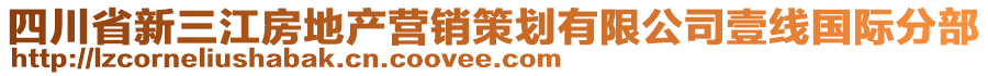 四川省新三江房地產(chǎn)營(yíng)銷策劃有限公司壹線國(guó)際分部