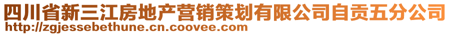 四川省新三江房地產(chǎn)營銷策劃有限公司自貢五分公司