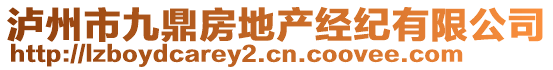 瀘州市九鼎房地產(chǎn)經(jīng)紀(jì)有限公司