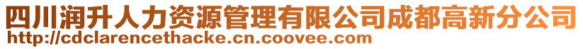 四川潤升人力資源管理有限公司成都高新分公司