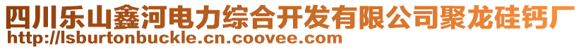 四川樂山鑫河電力綜合開發(fā)有限公司聚龍硅鈣廠