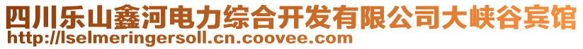 四川樂山鑫河電力綜合開發(fā)有限公司大峽谷賓館