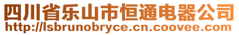 四川省樂(lè)山市恒通電器公司