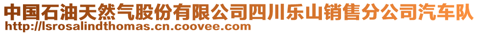 中國(guó)石油天然氣股份有限公司四川樂(lè)山銷售分公司汽車隊(duì)