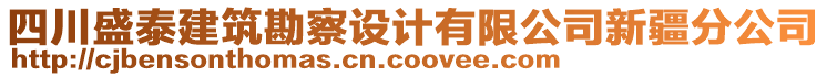 四川盛泰建筑勘察設(shè)計(jì)有限公司新疆分公司