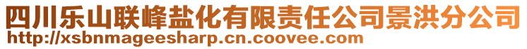 四川樂山聯(lián)峰鹽化有限責(zé)任公司景洪分公司