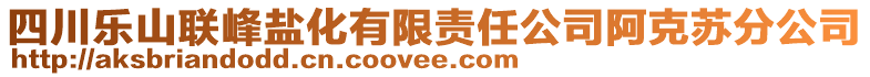 四川樂山聯(lián)峰鹽化有限責(zé)任公司阿克蘇分公司