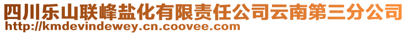 四川樂山聯(lián)峰鹽化有限責(zé)任公司云南第三分公司