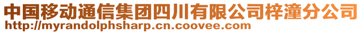 中國(guó)移動(dòng)通信集團(tuán)四川有限公司梓潼分公司