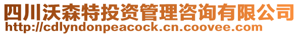 四川沃森特投資管理咨詢有限公司