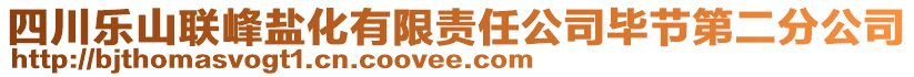 四川樂山聯(lián)峰鹽化有限責任公司畢節(jié)第二分公司