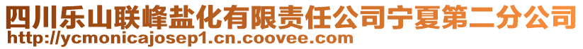 四川樂山聯(lián)峰鹽化有限責任公司寧夏第二分公司