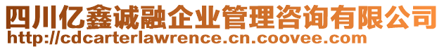 四川億鑫誠融企業(yè)管理咨詢有限公司