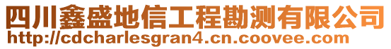 四川鑫盛地信工程勘測有限公司