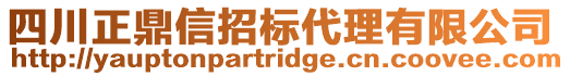 四川正鼎信招標代理有限公司