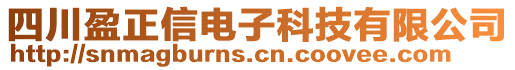 四川盈正信電子科技有限公司