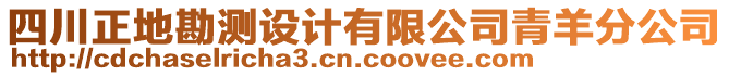 四川正地勘測設(shè)計(jì)有限公司青羊分公司