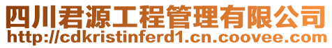 四川君源工程管理有限公司