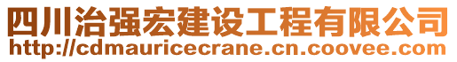 四川治強宏建設工程有限公司