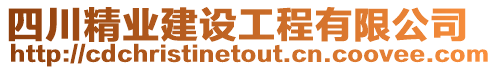 四川精業建設工程有限公司