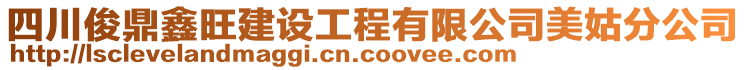 四川俊鼎鑫旺建设工程有限公司美姑分公司