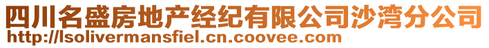 四川名盛房地产经纪有限公司沙湾分公司