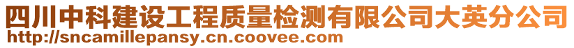 四川中科建设工程质量检测有限公司大英分公司