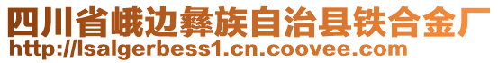 四川省峨邊彝族自治縣鐵合金廠