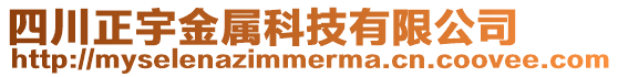 四川正宇金屬科技有限公司