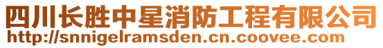 四川長(zhǎng)勝中星消防工程有限公司