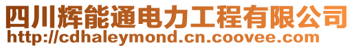 四川輝能通電力工程有限公司