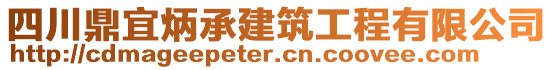 四川鼎宜炳承建筑工程有限公司