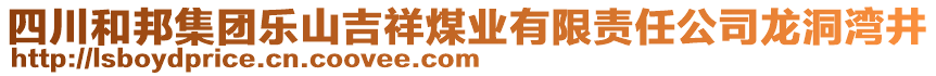 四川和邦集團(tuán)樂(lè)山吉祥煤業(yè)有限責(zé)任公司龍洞灣井